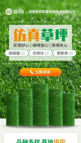 仿真草坪-竞网Z259